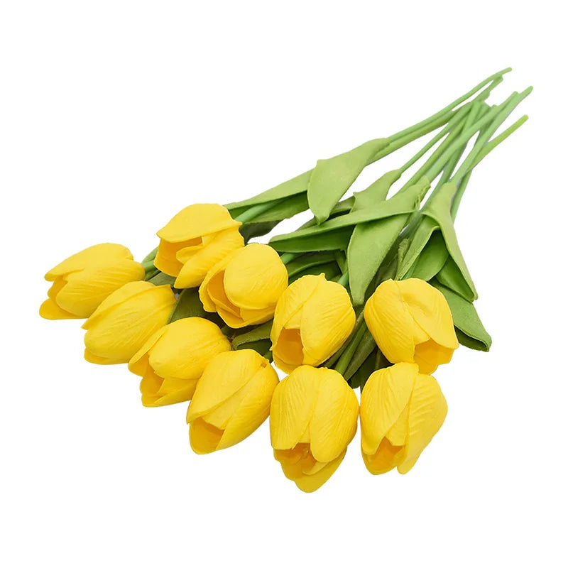 Tulip Flower