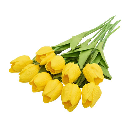 Tulip Flower