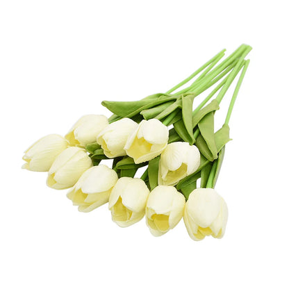 Tulip Flower