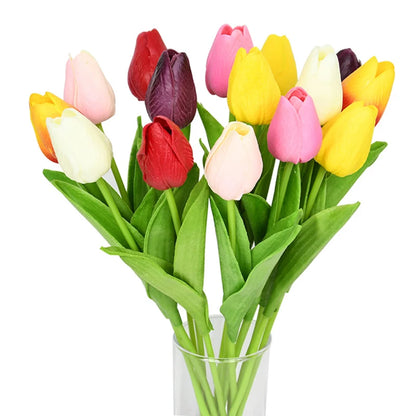 Tulip Flower