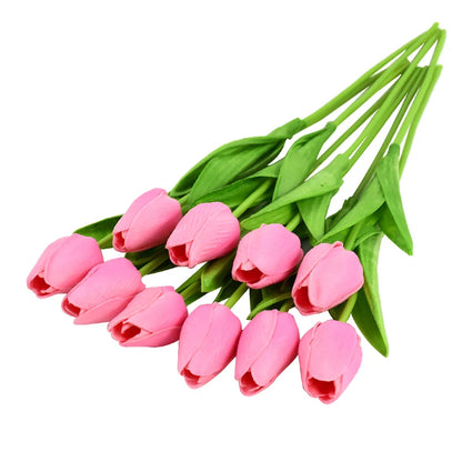 Tulip Flower