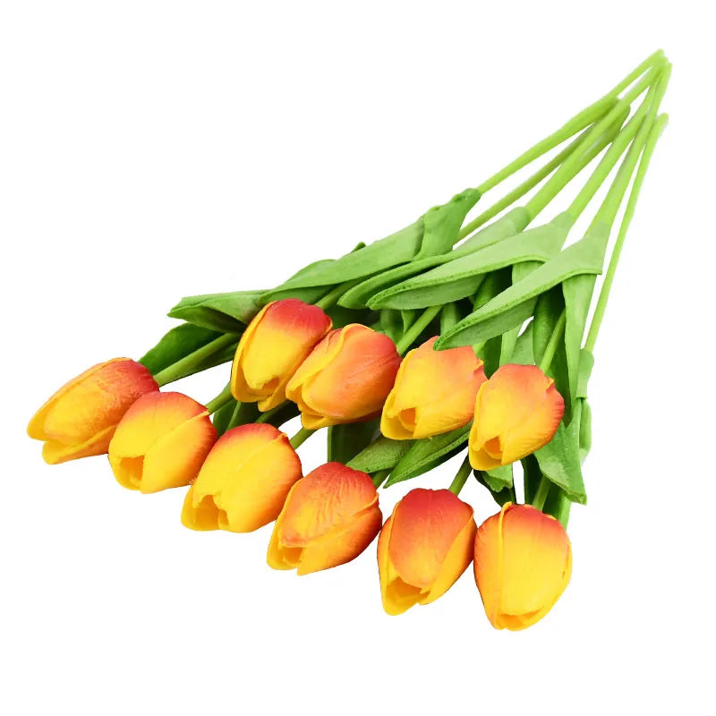 Tulip Flower