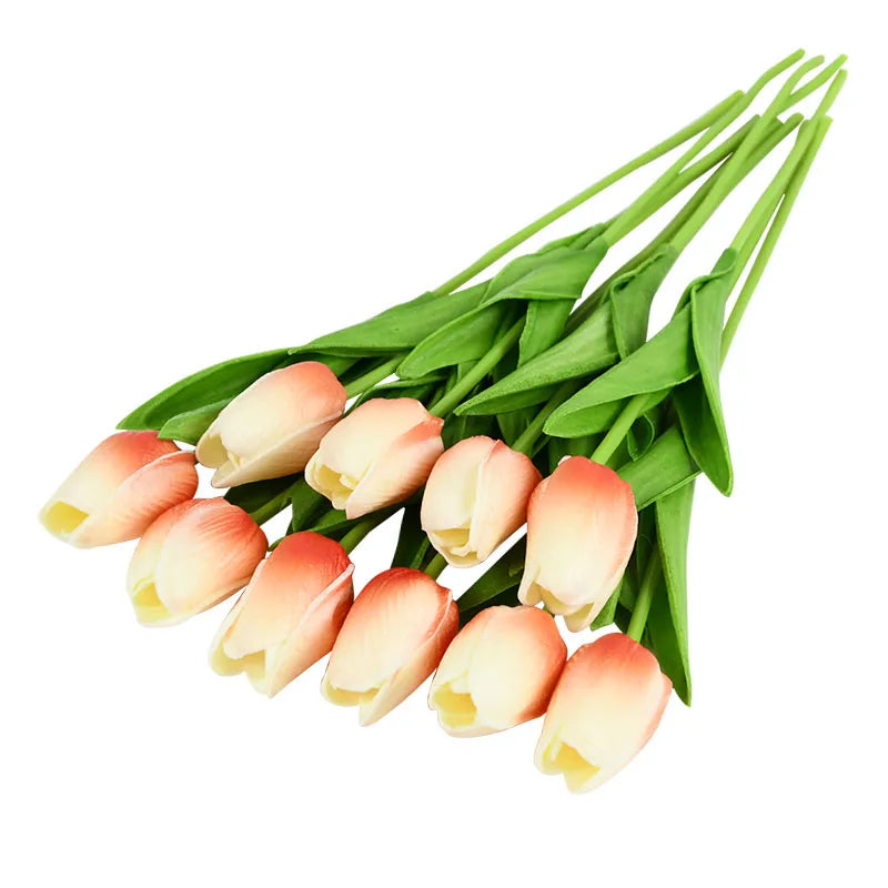 Tulip Flower
