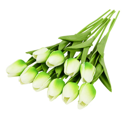 Tulip Flower