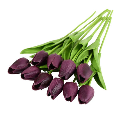 Tulip Flower