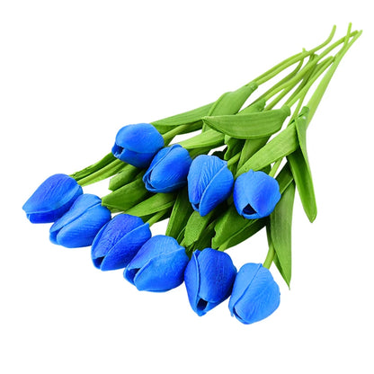 Tulip Flower