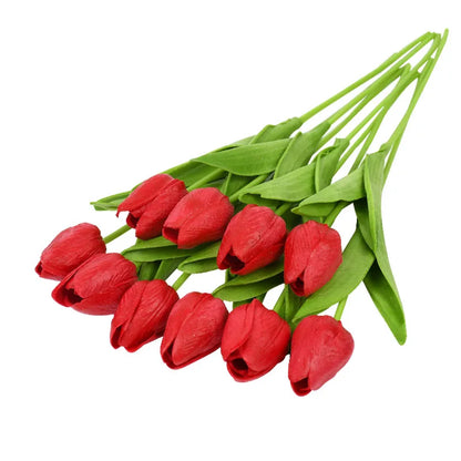 Tulip Flower