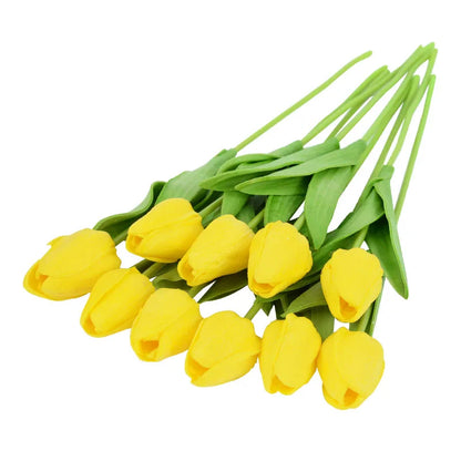 Tulip Flower