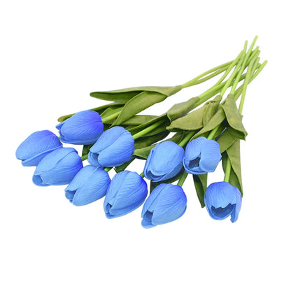 Tulip Flower