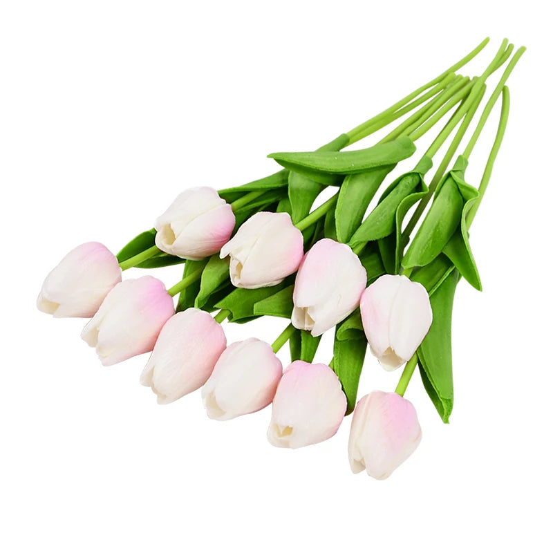 Tulip Flower