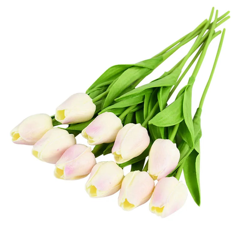 Tulip Flower