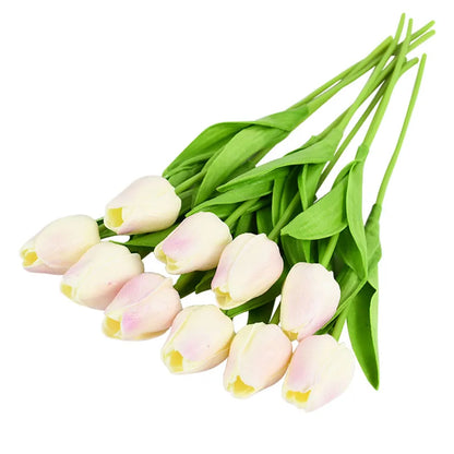 Tulip Flower