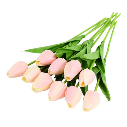 Tulip Flower