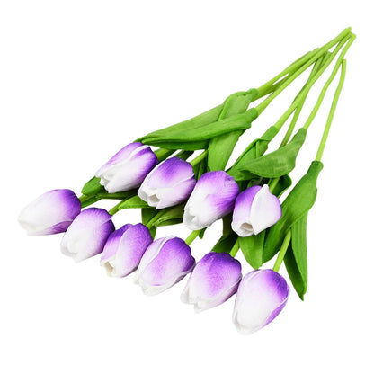 Tulip Flower