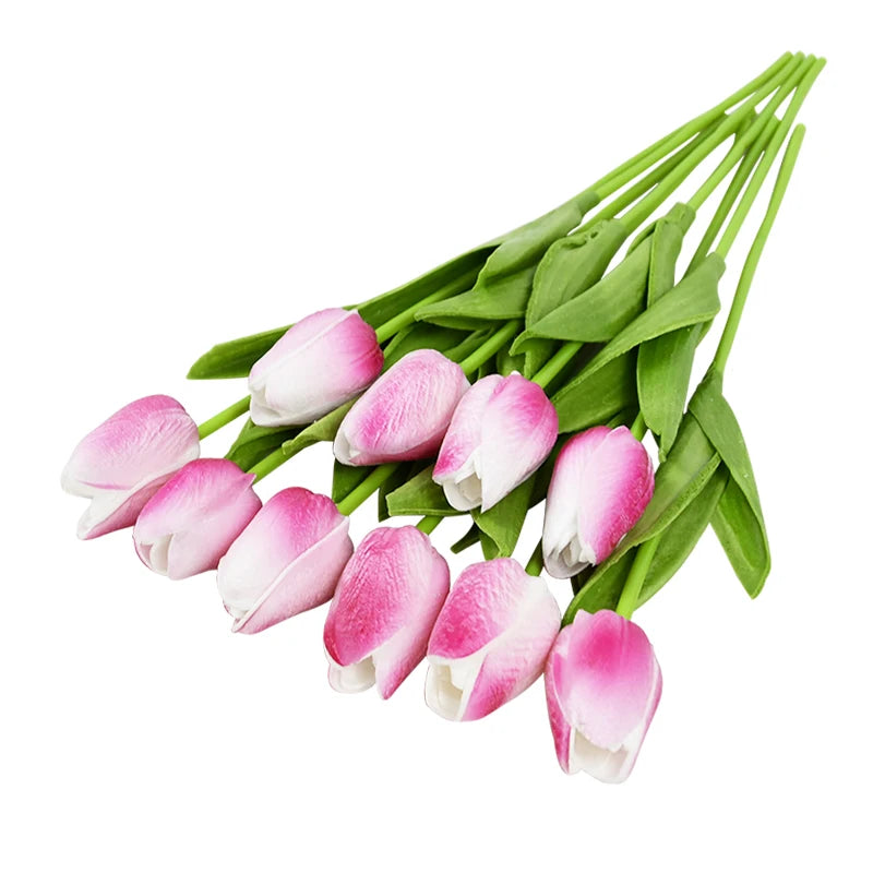 Tulip Flower