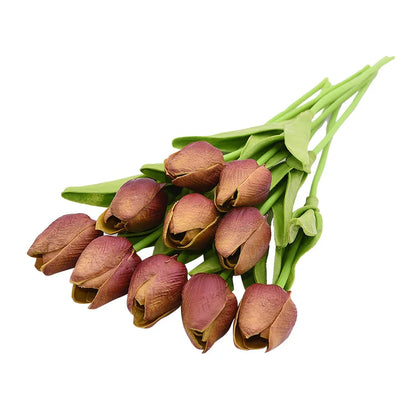 Tulip Flower