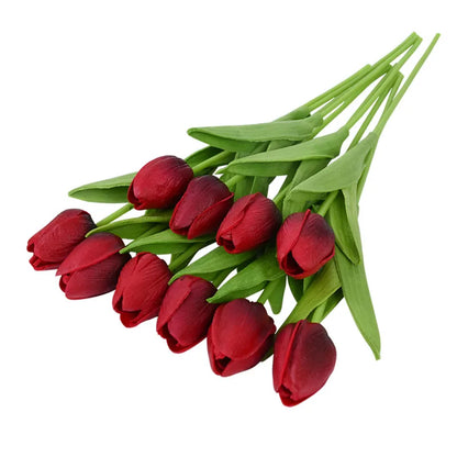 Tulip Flower