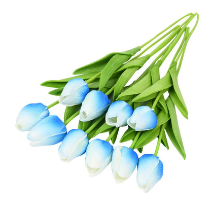Tulip Flower
