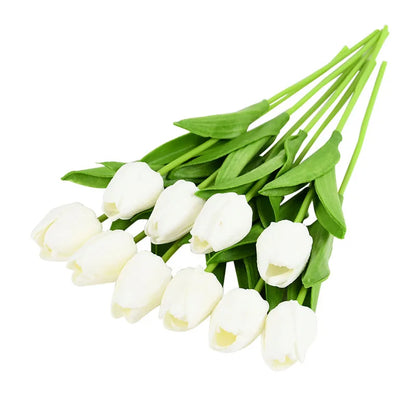 Tulip Flower