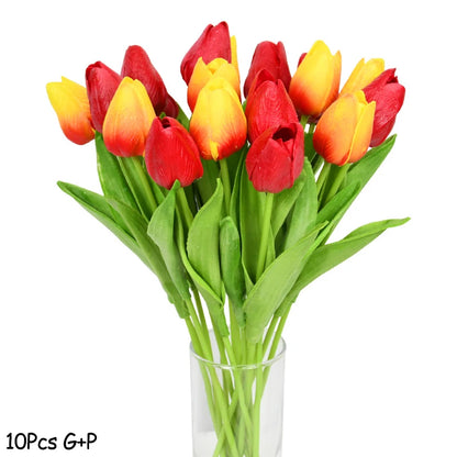 Tulip Flower