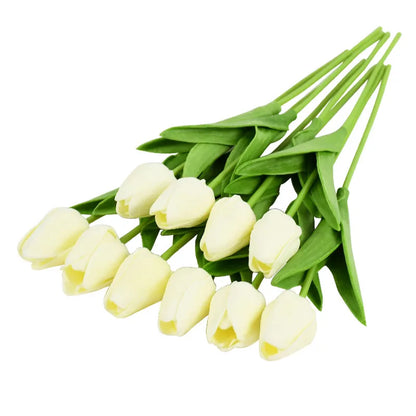 Tulip Flower