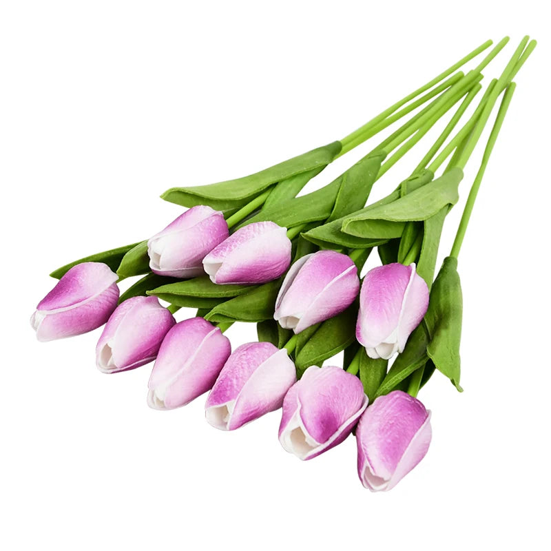 Tulip Flower